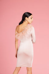 PLUMES PARTY DRESS - PINK dreamerie-857